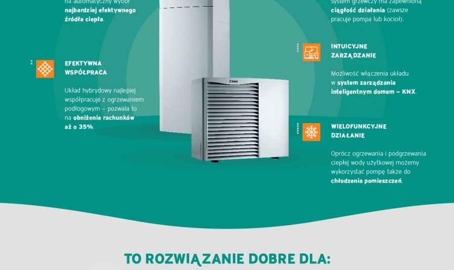 Vaillant infografika