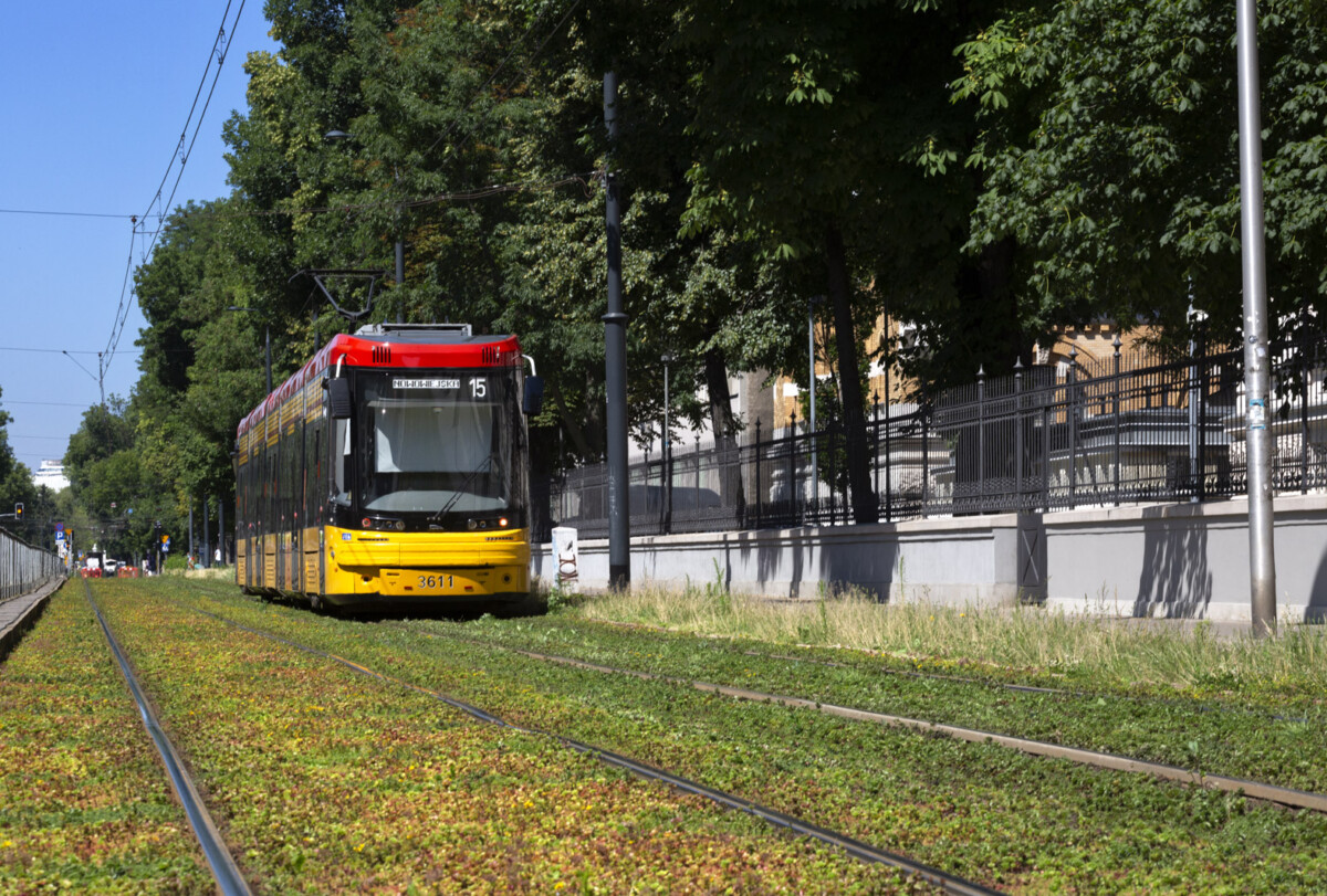 Zielone torowisko 1