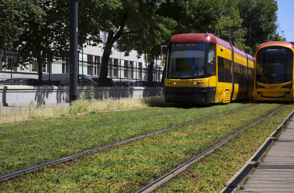 Zielone torowisko Warszawa